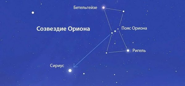 Canis Major Созвездие
