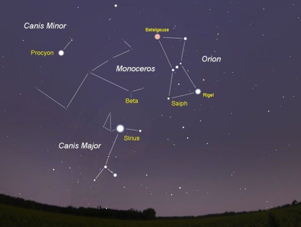 Canis Major Созвездие