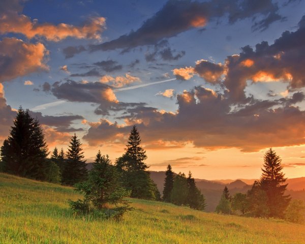 Облака над лесом