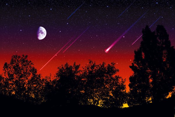 Дракониды метеорный поток