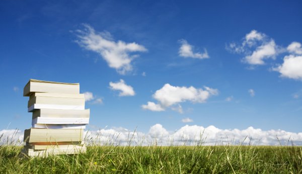 Небо книжный