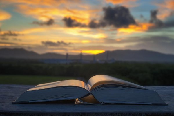 Чтение на закате