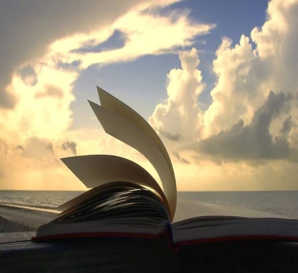 Размышления о жизни