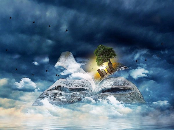 Раскрытая книга на природе