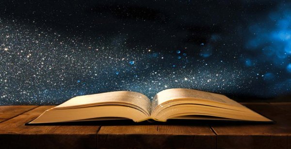 Дети летят на книге