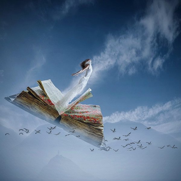 Библия и голубь