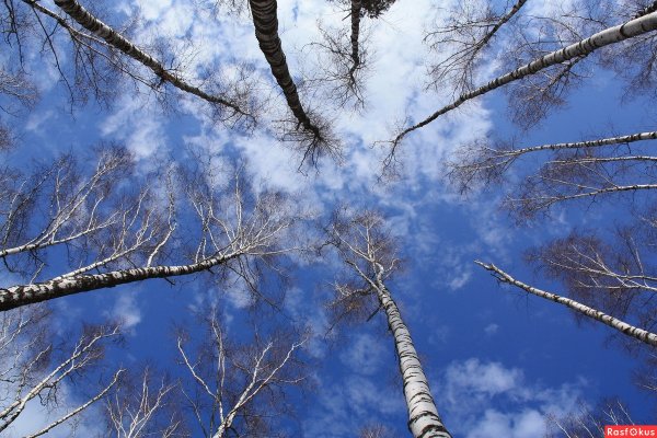 Солнечная Весна