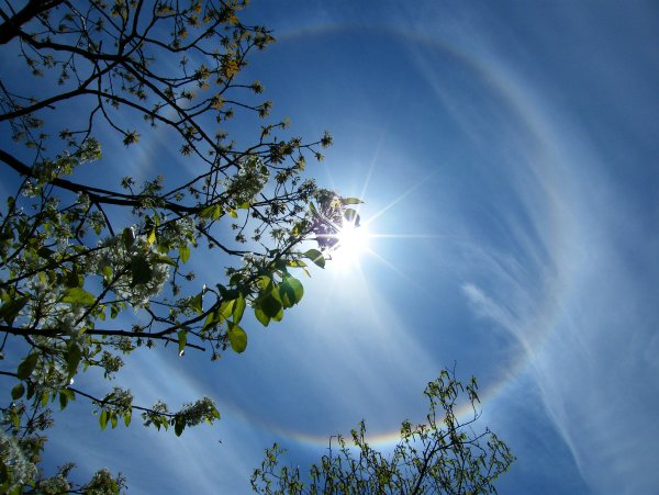 Облака весной