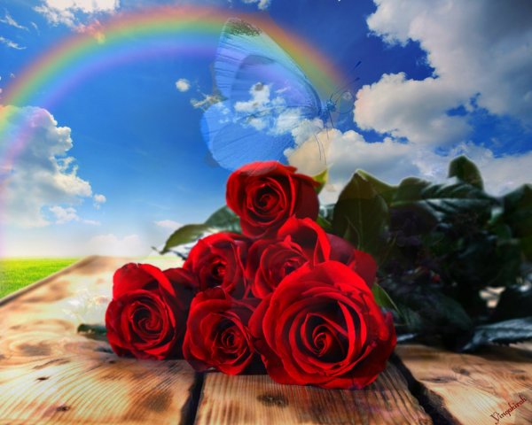 В небе Радуга с розами