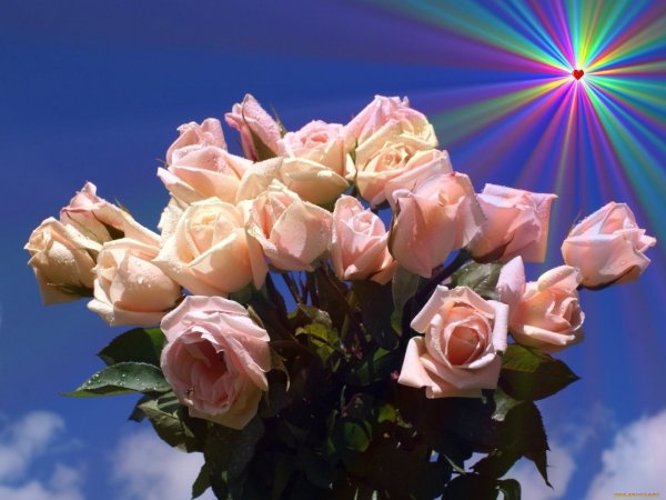 Розы в дикой природе