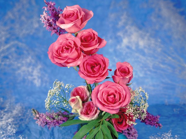 Облако из роз