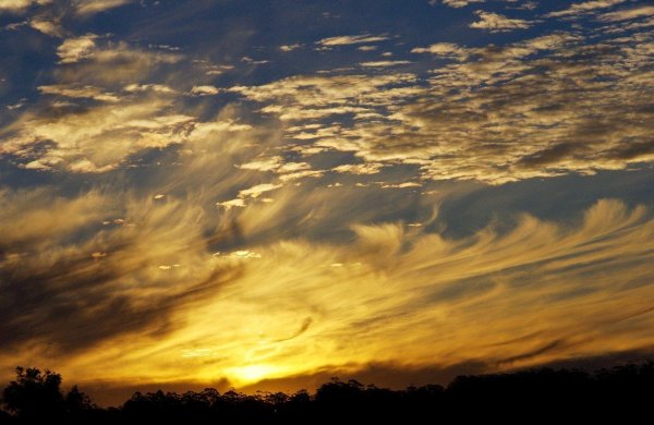 Желтые облака