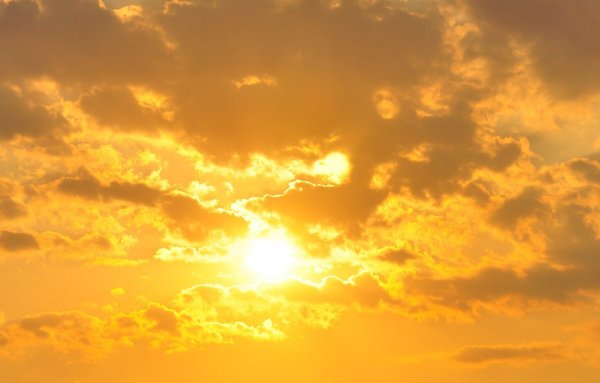 Желтое поле голубое небо