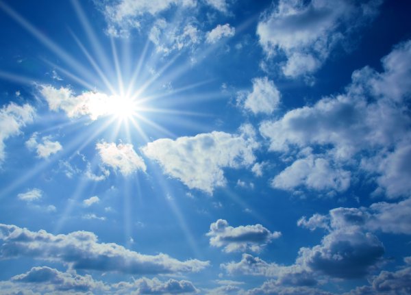 Золотистые поля