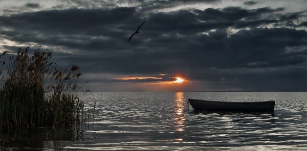 Тишина картинки