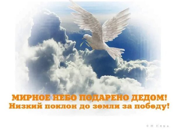 Мирного неба над головой