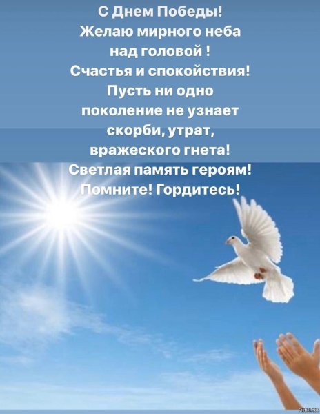 Пожелания мирного неба