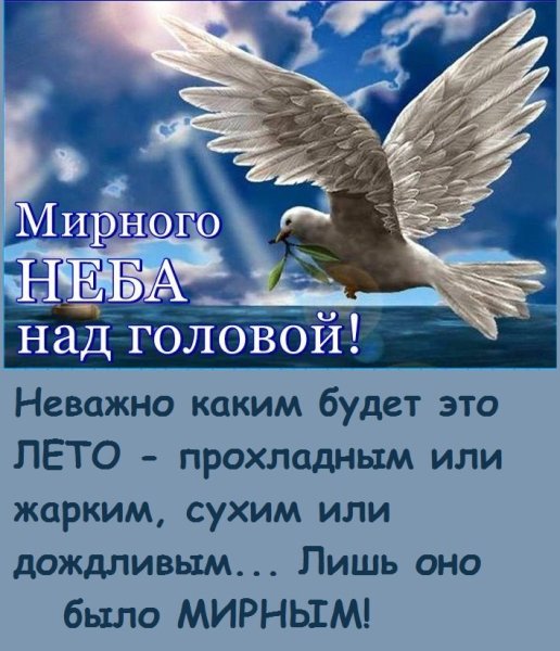 Хорошего дня и мирного неба