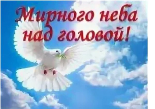 Голуби в небе