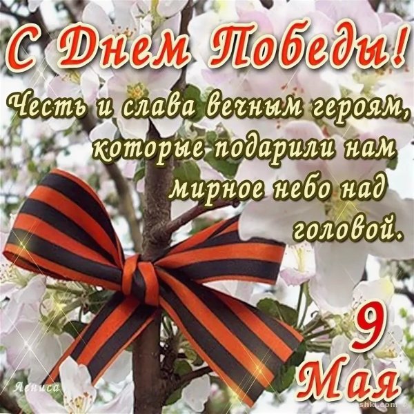 Пусть всегда будет мир на земле