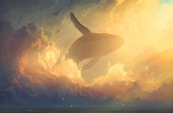 Киты в небе