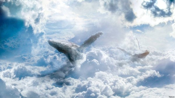 Синий кит арт