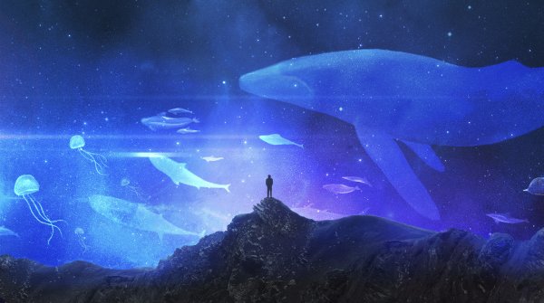 Художник Artem rhads Chebokha