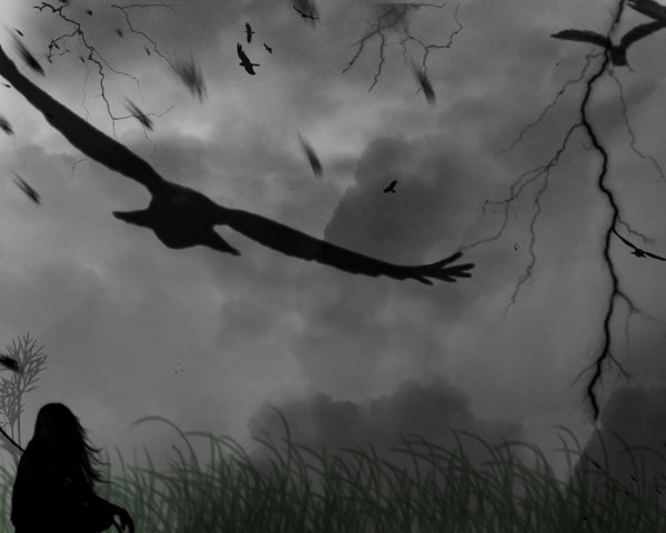 Одинокий ворон