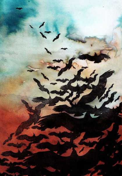 Ворон парит в небе