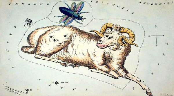 Созвездия зодиака Овен