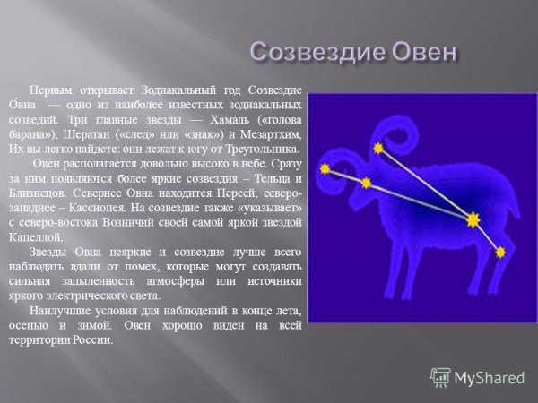 Созвездие быка