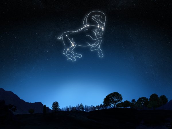 Aries Созвездие