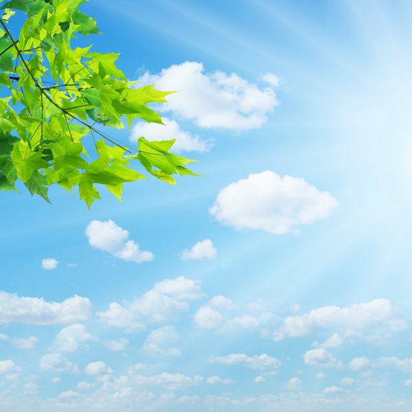 Небо солнце облака