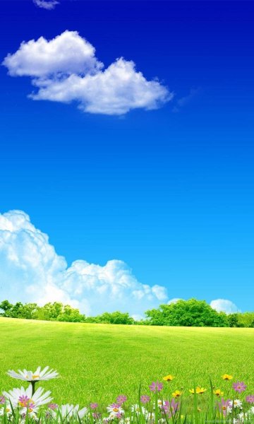 Фон голубого неба с облаками и голубями