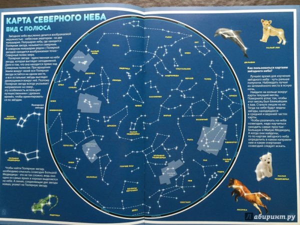 Звездное небо созвездия