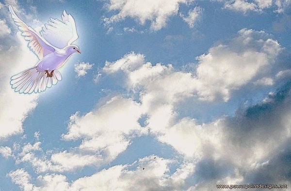 Небо облака голуби