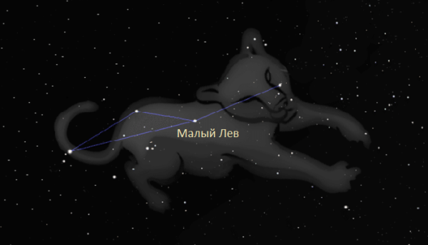 Знак зодиака Лев