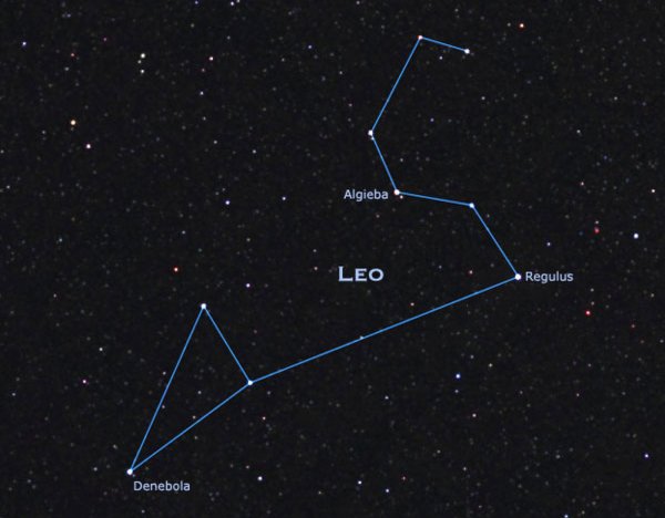 Ян гевелий атлас созвездий Лев