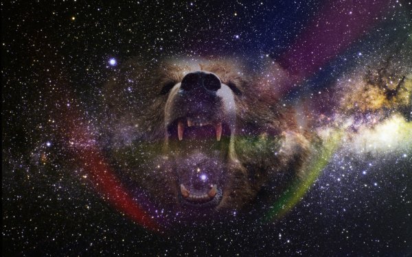 Звери в космосе