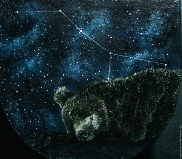 Большая Медведица