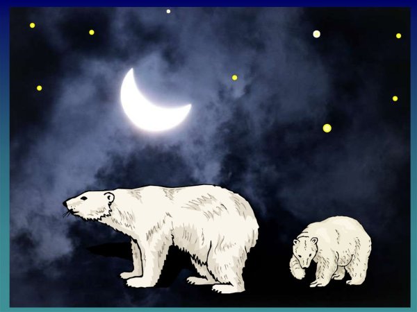 Медведица Созвездие Умка