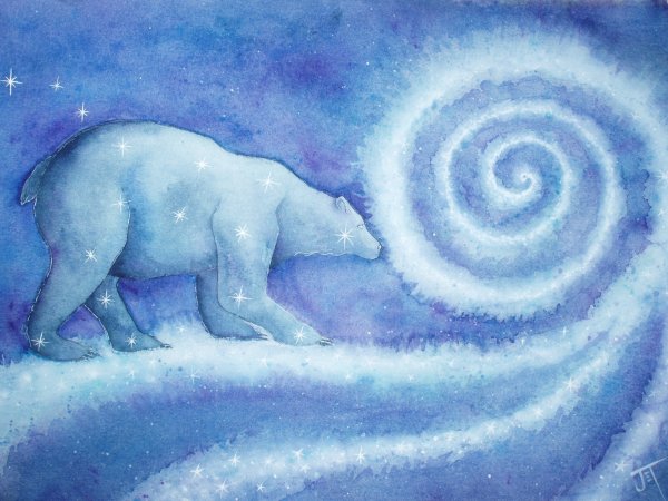 Белый медведь Созвездие