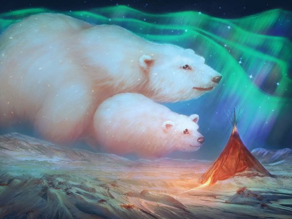Белый медведь и Северное сияние