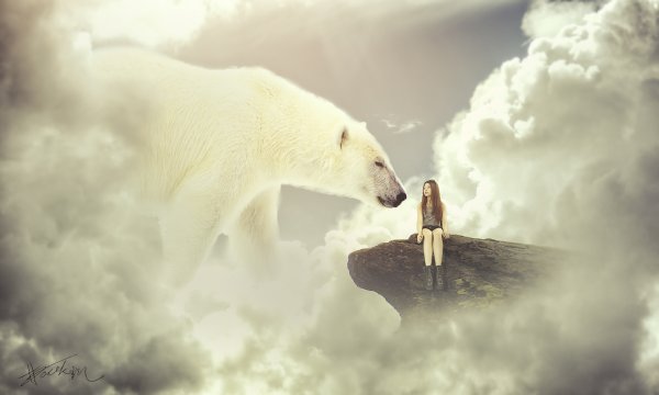 Белый медведь