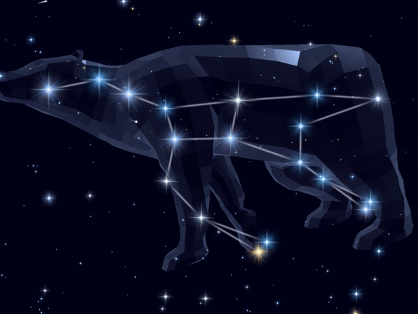 Созвездие боллшая МЕДВЕ