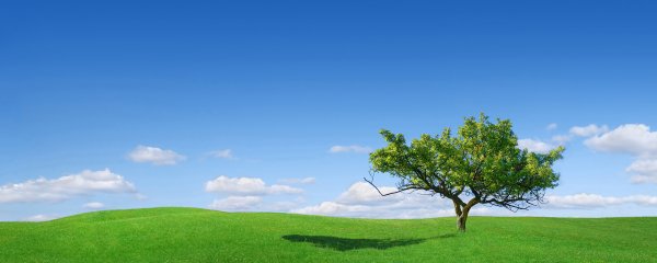 Пейзаж с небом и зеленой травой