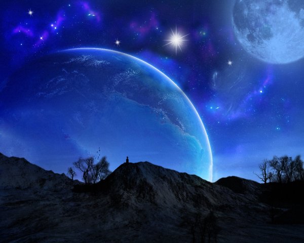 Ночь звезды