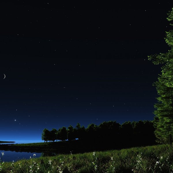 Ночная природа вертикально