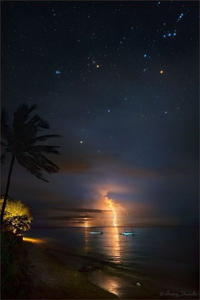 Звезда в лесу