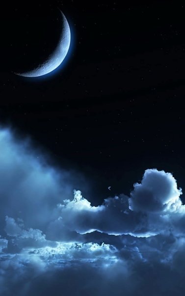 Звезды над морем